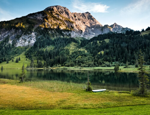 1. VSTM MASTER CLASS